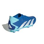 6GZ0026-000-4.jpg