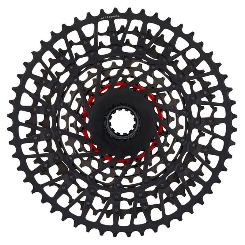 SRCS02418126000-UNICO-2.jpg