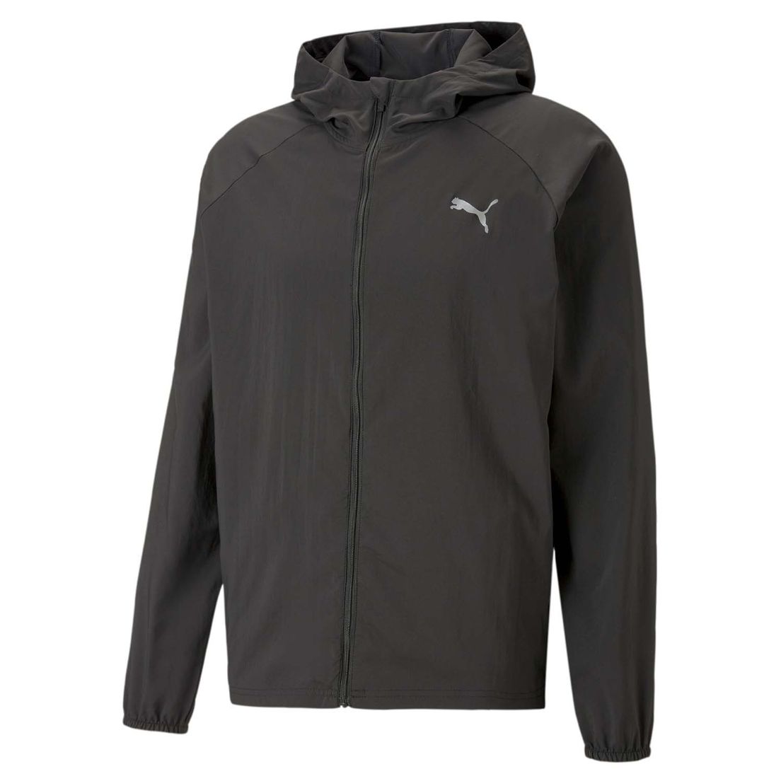Campera Puma Conjunto Puma Ftblplay De Hombre Conjunto De Futbol