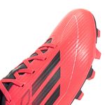 6IE0613-000-7.jpg