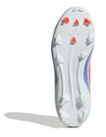 6IF1367-000-4.jpg