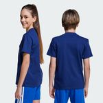 image-f91c65a9ef2346238212bec7ba5a264a