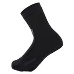 SP577ADAPT-000-1.jpg