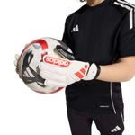 6JH3792-000-4.jpg
