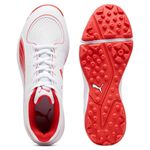 Detalle 4