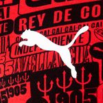 Detalle 5