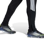 Detalle 6