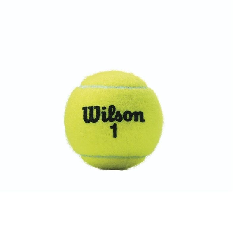 Permuta enero cuidadosamente Pelotas de Tenis Wilson Championship Extra Duty Tubo X 3 Unidades - Sporting