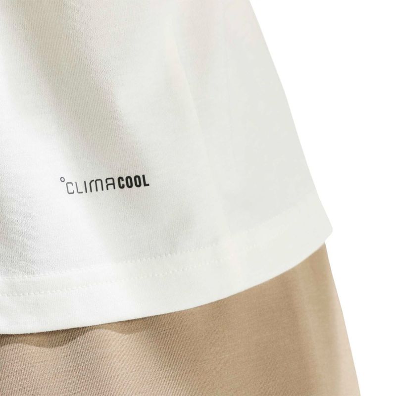 Detalle 6