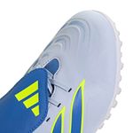 Detalle 7